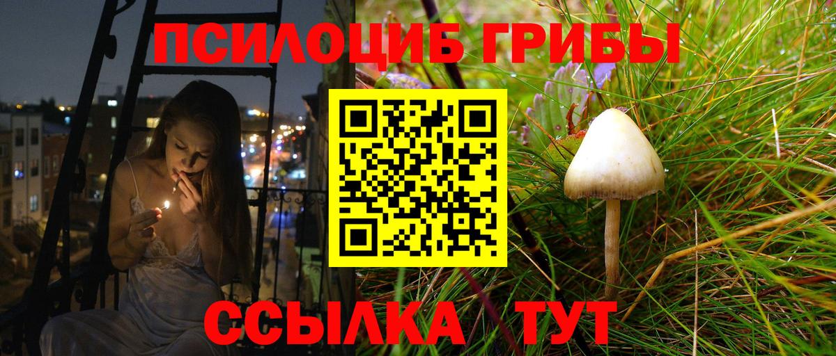 Псилоцибиновые грибы GOLDEN TEACHER Ступино