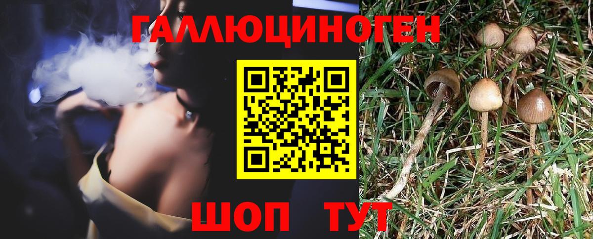 Ступино  Псилоцибиновые грибы ЛСД  Вход с VPN 